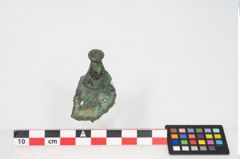Foto von Bronzephalere (NHMW-PRAE-025544a)